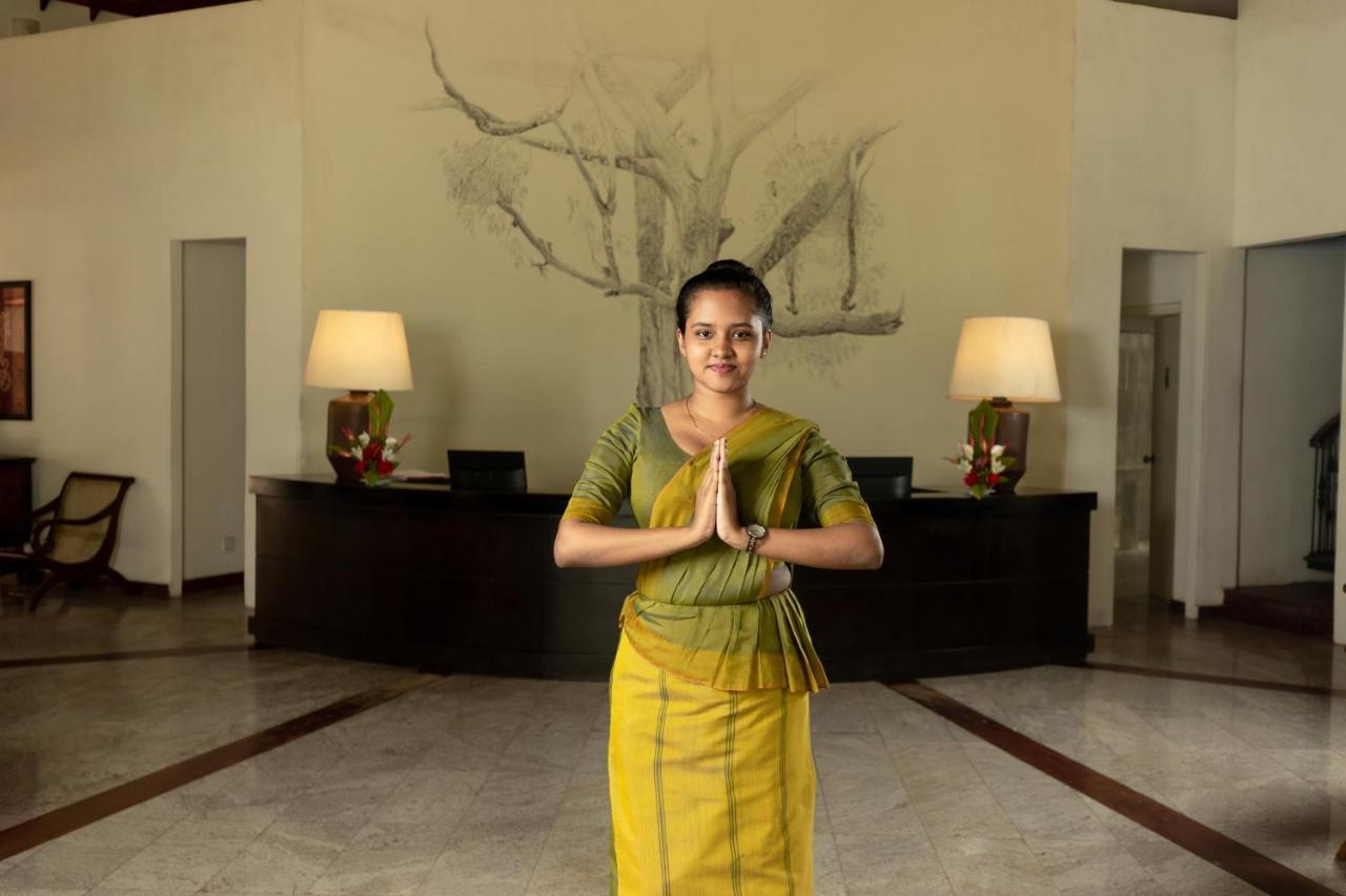 Tamarind Tree Hotel Negombo Buitenkant foto