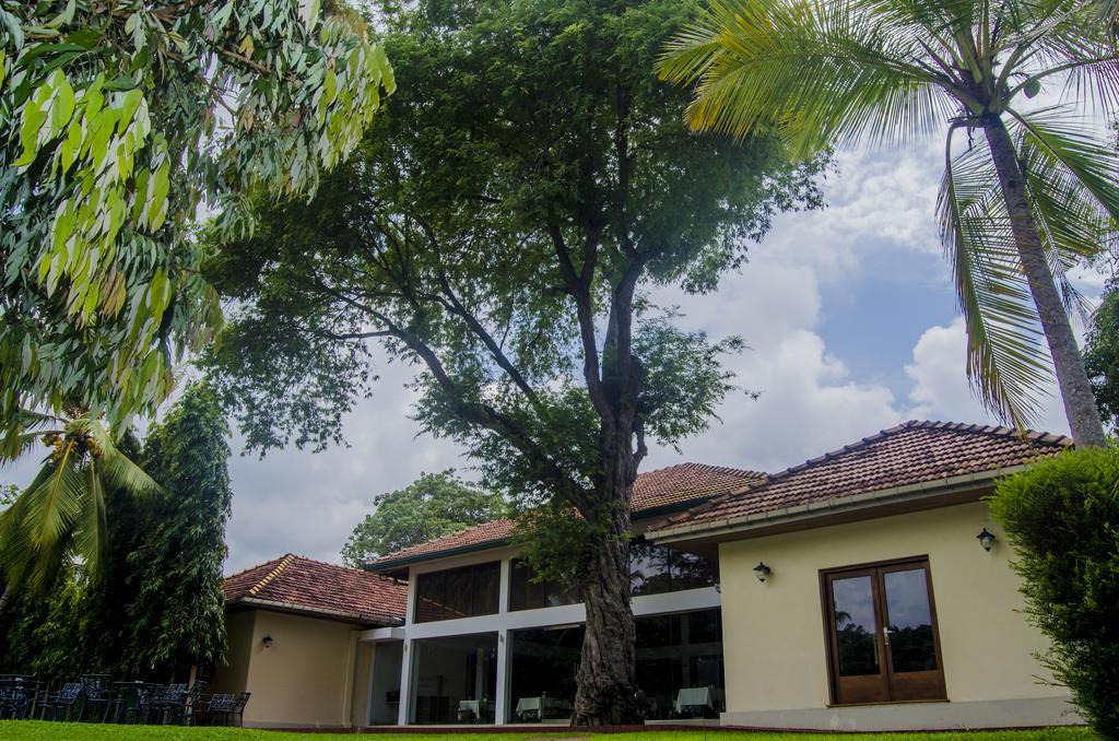 Tamarind Tree Hotel Negombo Buitenkant foto