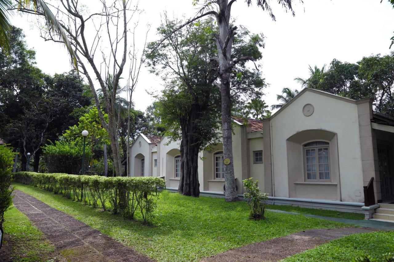 Tamarind Tree Hotel Negombo Buitenkant foto